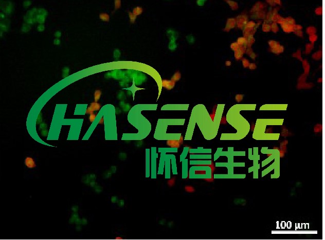 JC-1細(xì)胞線粒體膜電位檢測