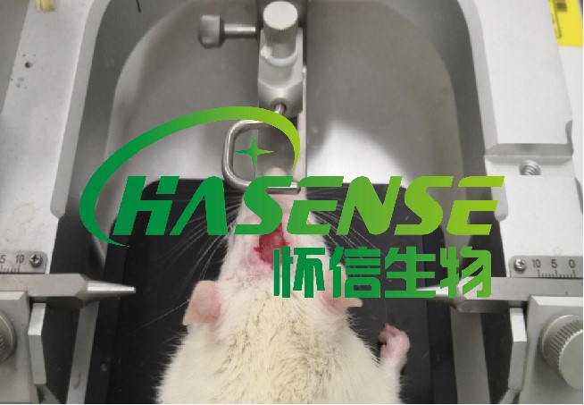 AD模型構(gòu)建